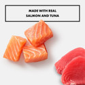 Nutro Salmon & Tuna Recipe Pate 2.64 oz