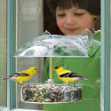 Droll Yankees The Winner Window Bird Feeder