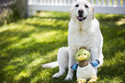Allure Plush Corduroy Durable Knotties Duck Dog Toy X-Small