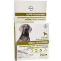 Bayer Quad Dewormer Dog 2-pack Large Dog