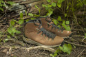 Danner Men's Mountain 600 Full Grain Brown Waterproof