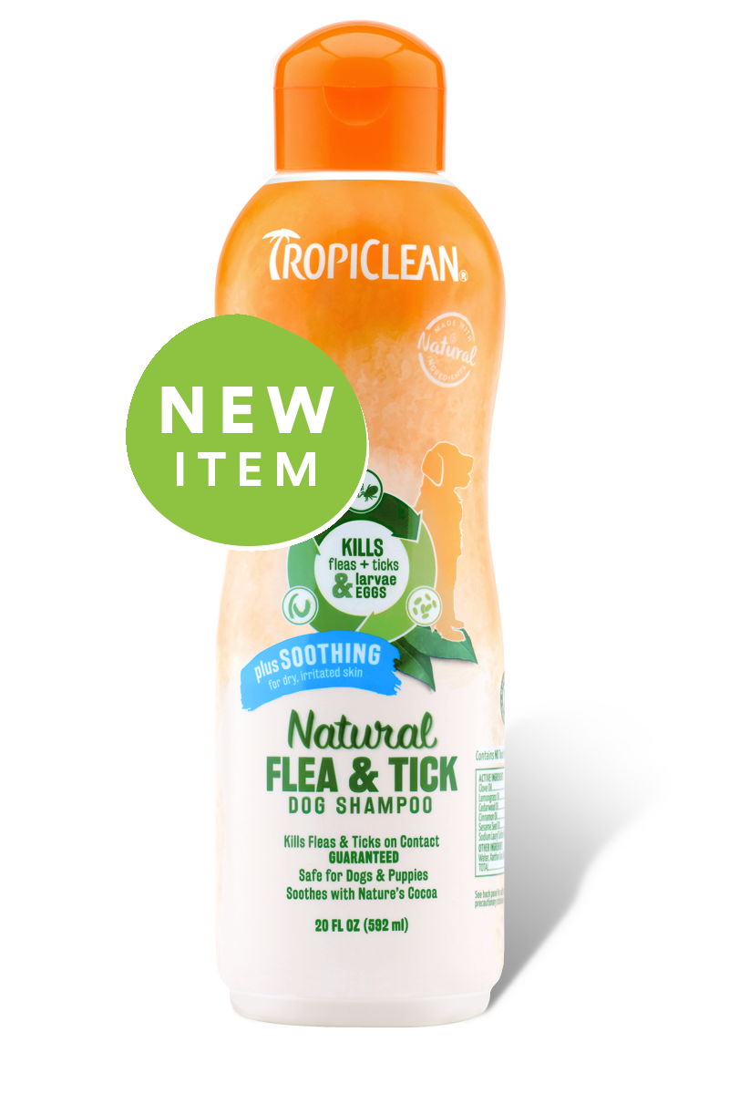 TropiClean Natural Flea & Tick Shampoo Plus Soothing Chaar
