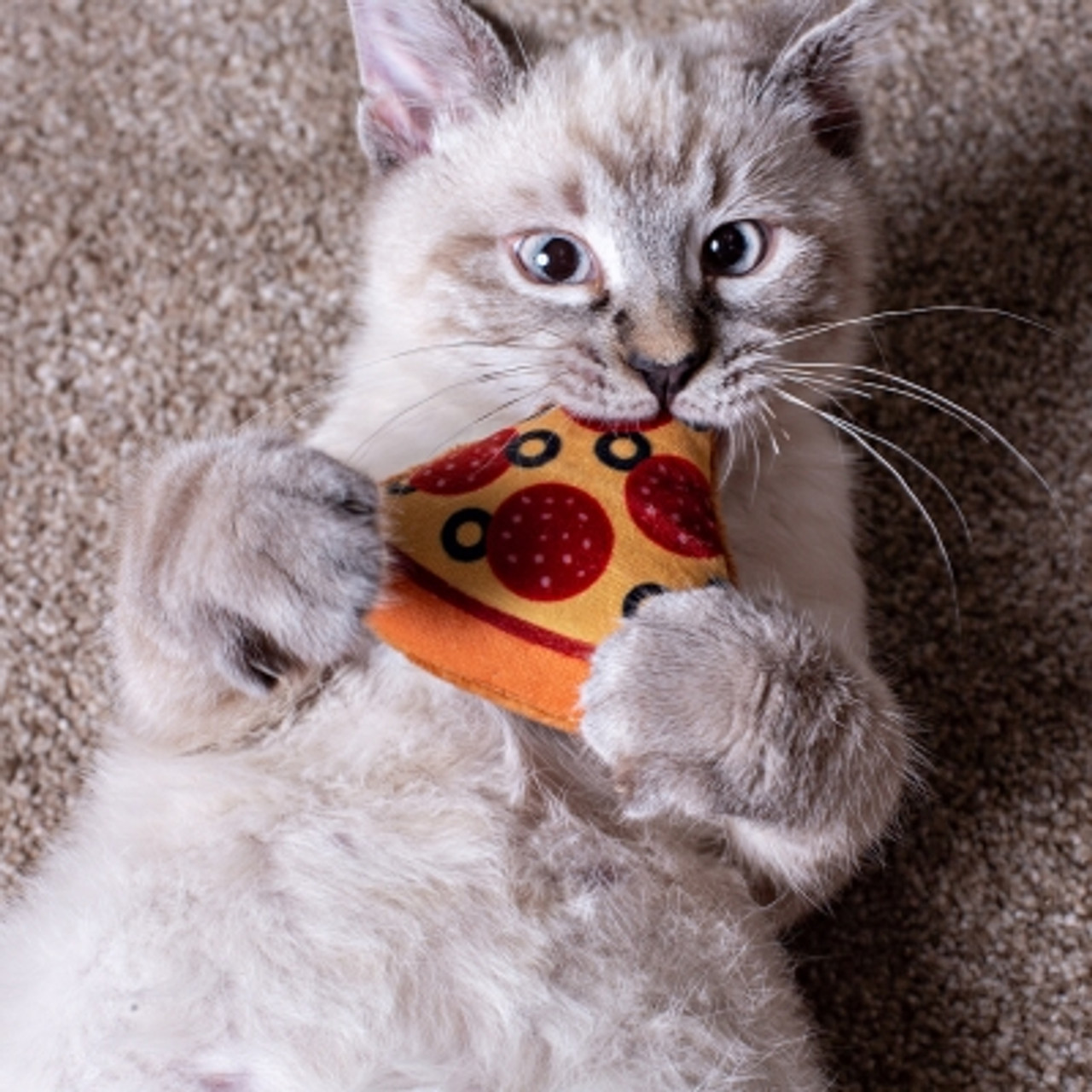 pizza cat toy