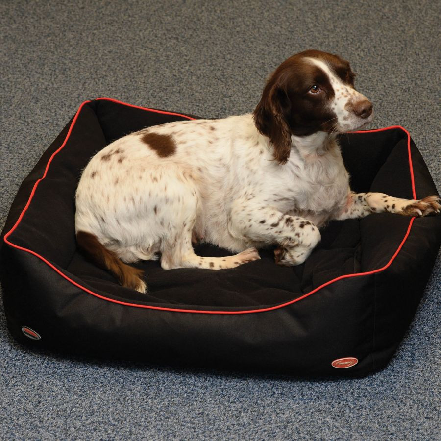 Weatherbeeta TherapyTec Dog Bed Chaar