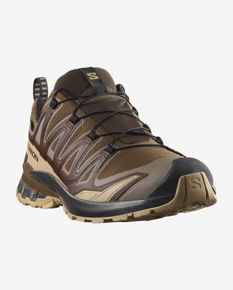 Salomon Men's XA PRO 3D V9 GORE-TEX - Dark Earth - Chaar