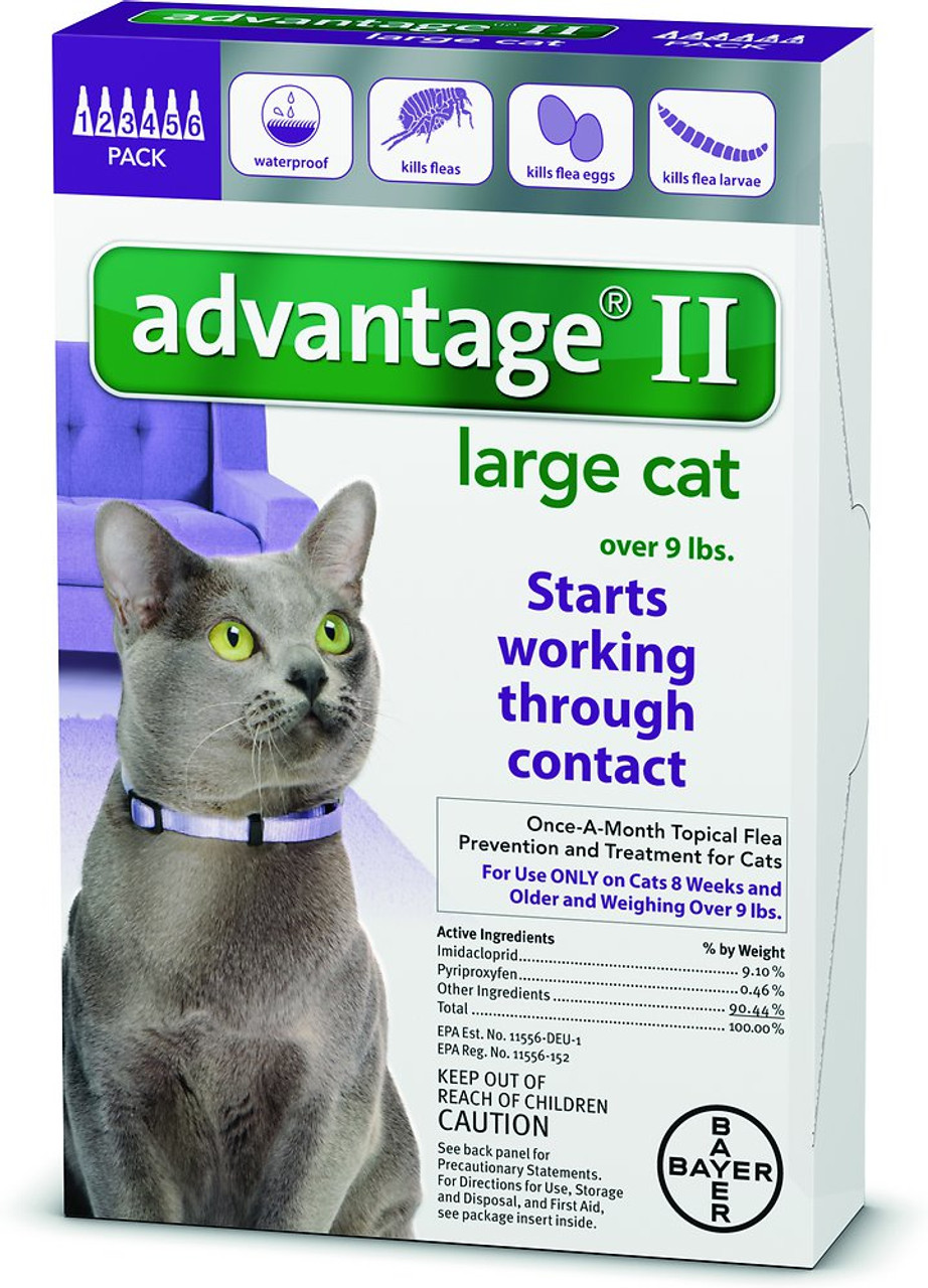 flea treatment for large cats