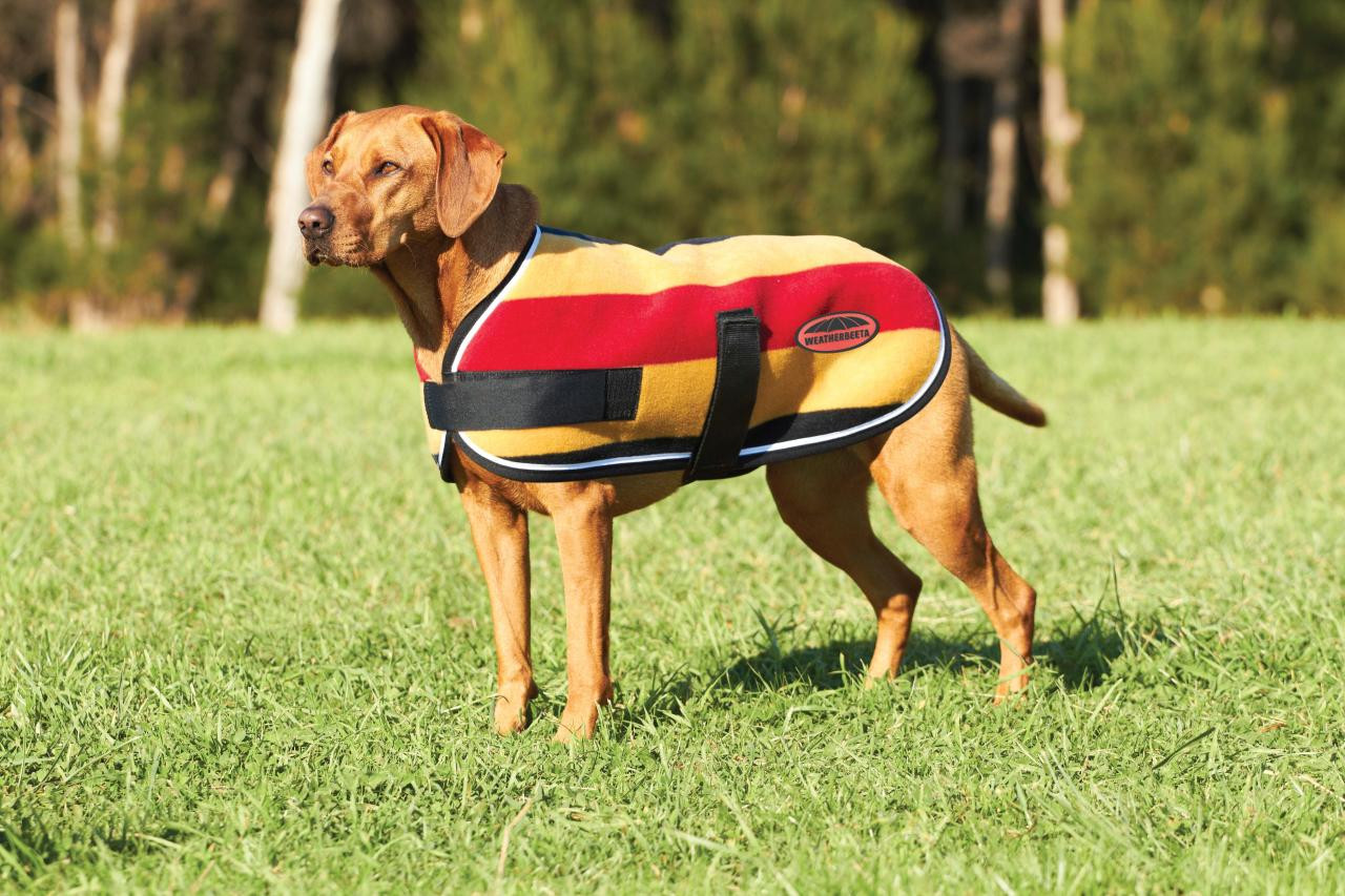 weatherbeeta fleece dog coat