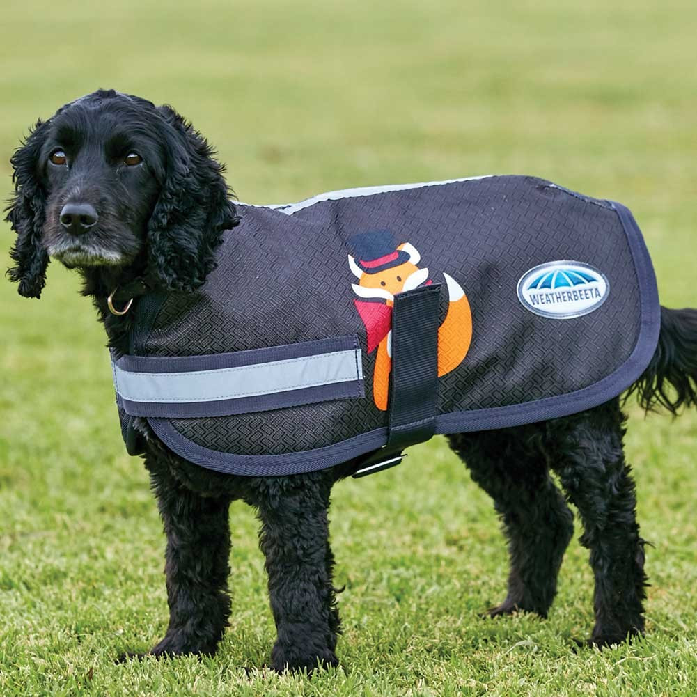weatherbeeta dog coat