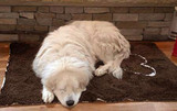 Soggy Doggy XL Bone Mat Chocolate