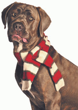 Chilly Dog White and Red Wool Dog Scarf