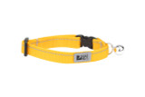 RC Pets Primary Kitty Breakaway Collar - Marigold