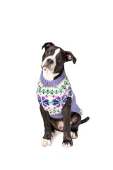 Chilly Dog Lavender Flowers Wool Dog Sweater