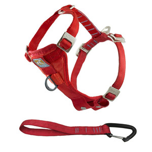 More Dog Supplies & Accessories