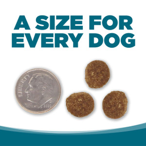 NutriSource Adult Chicken & Rice Recipe Dry Dog Food