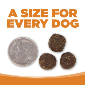 NutriSource Lamb Meal & Rice Recipe Dry Dog Food