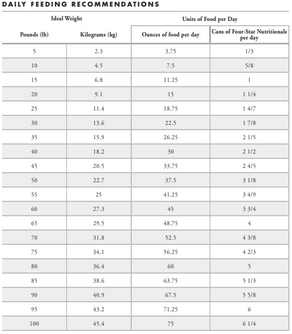 Fromm Four-Star Shredded Turkey in Gravy Canned Dog Food