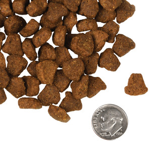 Fromm Four-Star Rancherosa Dry Dog Food
