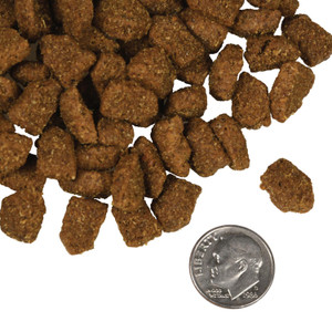 Fromm Four-Star Highlander Beef, Oats, 'n Barley Recipe Dry Dog Food