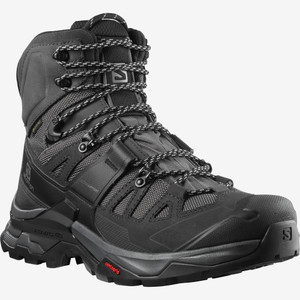 Salomon Men's Quest 4 GTX Magnet