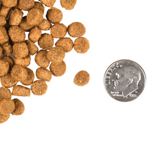 Fromm Gold Healthy Weight Dry Cat Food