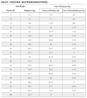 Fromm Frommbalaya Beef, Vegetable, and Rice Stew Canned Dog Food