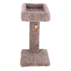 Ware Kitty Cactus with Toy 24"