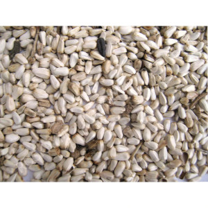 Shafer Safflower Seed 25lb
