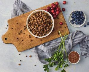 Blue Buffalo Life Protection Formula Chicken and Oatmeal Recipe Small Breed Dry Puppy Food