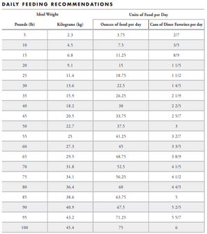 Fromm Diner Bud's Beef & Broccoli Stew Canned Dog Food