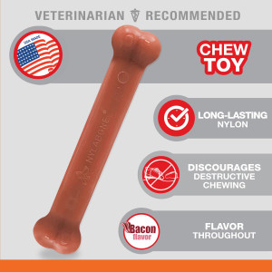 Nylabone Power Chew Durable Dog Chew Toy - Bacon - Large