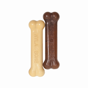 Nylabone Classic Puppy Chew Flavored Durable Dog Chew Toy