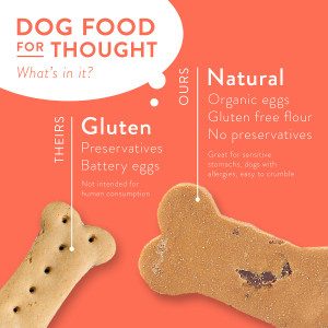 Portland Pet Food Grain and Gluten Free Pumpkin Dog Biscuits 5oz