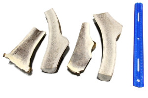 Tuesday's Natural Dog Company Elk Antler - Large Split