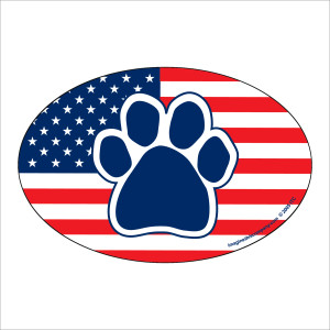 Imagine This! American Flag Oval Shaped Magnet