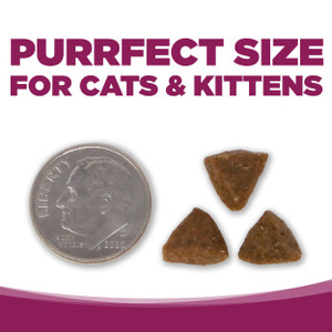 NutriSource Cat & Kitten Chicken & Rice Recipe Dry Cat Food