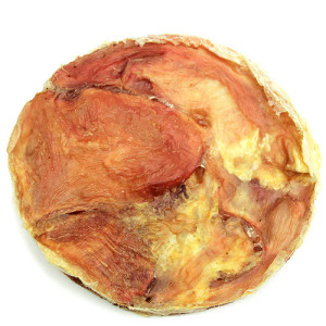 Tuesday's Natural Dog Company Tremenda Disc Chews