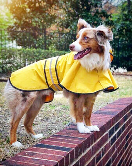 Ethical Pet Rainy Days Slicker Rain Coat