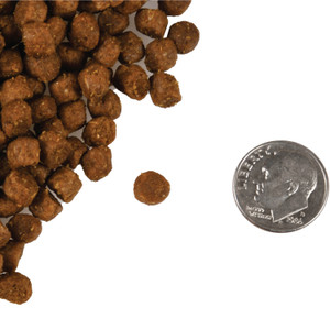 Fromm Four-Star Trout and Whitefish Dry Cat Food 