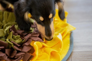 Injoya Snuffle Mat Sunflower 