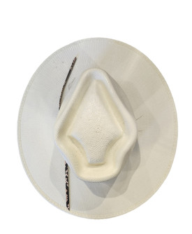 Charlie 1 Horse Spear Point Straw Hat