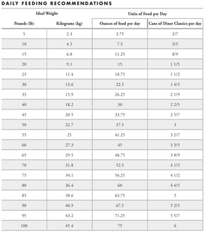 Fromm Diner Breakfast Betty's Biscuits and Gravy Canned Dog Food