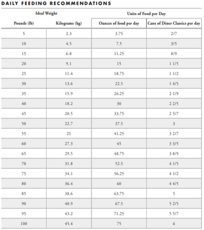 Fromm Diner Breakfast Sam's Steak and Eggs