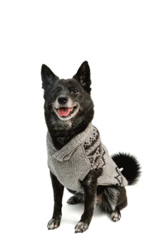 Chilly Dog Alpaca Smokey Wyatt Dog Sweater