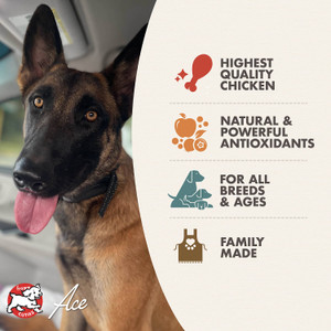 Fromm Diner Paula's Chicken & Pumpkin Pate Canned Dog Food