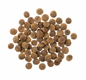 Petcurean GO! Lamb Grain-Free Limited Ingredient Dog Food