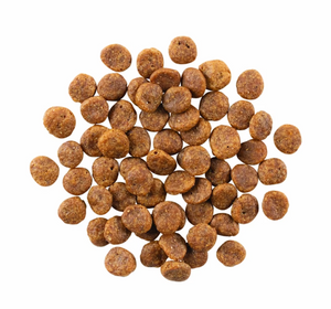 Petcurean GO! Turkey Grain-Free Limited Ingredient Dog Food