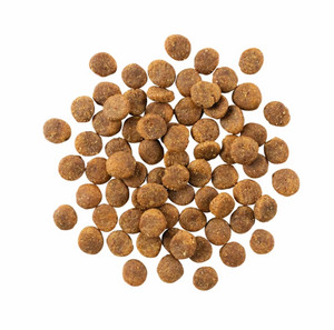 Petcurean GO! Duck Grain-Free Limited Ingredient Dog Food