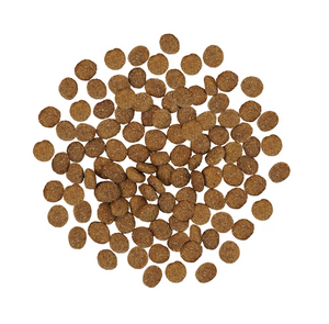 Petcurean GO! Turkey Dry Dog Food With Grains Skin + Coat Care