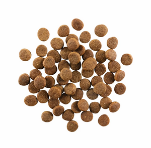 Petcurean GO! Chicken, Turkey + Duck Dry Dog Food Grain Free Carnivore