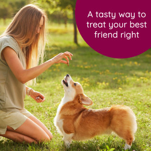 Caru Soft ‘n Tasty Baked Duck Recipe Bites for Dogs